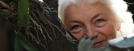 Diana Bellesi